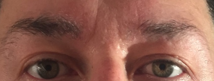 eyebrows august 2016 close up